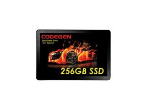 Codegen 256GB 500MB-450MB/S 2.5