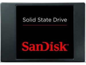 Standart 256GB Sandisk