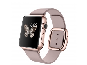 Watch Edition (38 mm) 18 Ayar Roze Altın Kasa ve Modern Tokalı Roze Gri Kayış Apple