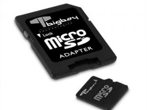 MicroSD 2GB Bigboy