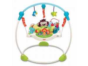 Precious Planet jumperoo Fisher-Price