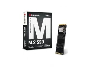 Biostar M700 256GB SSD M.2 Nvme SS263PME32