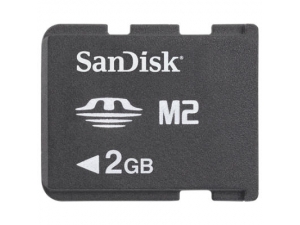 Sandisk Micro 2GB SDMSM2-2048-P36M