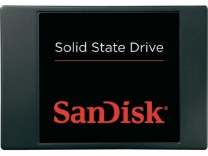 Sandisk Standart 128GB