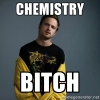 Chemistry Bitch!