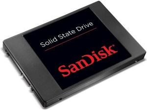 Standart 256GB Sandisk